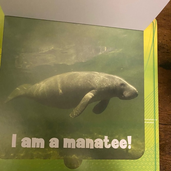 children’s books 📚 - Picture 7 of 7